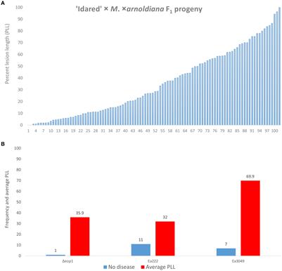 A putative gene-for-gene relationship between the Erwinia amylovora effector gene eop1 and the FB_Mar12 resistance locus of Malus ×arnoldiana accession MAL0004